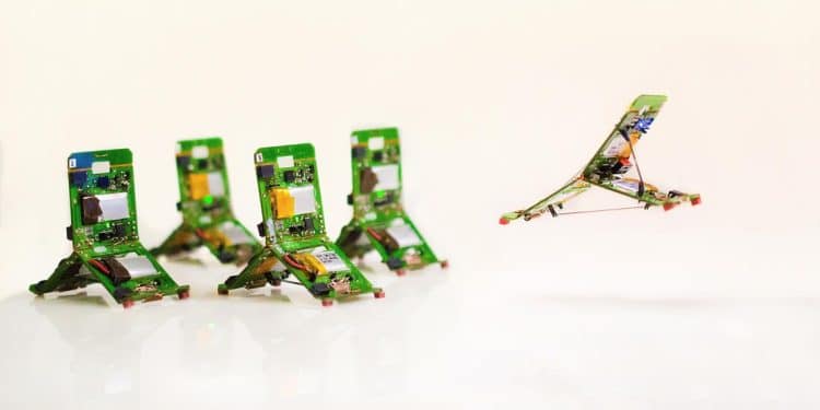 Роботи-мравки ( триботи) скачат и изпълняват команди 1 roboti mravki triboti