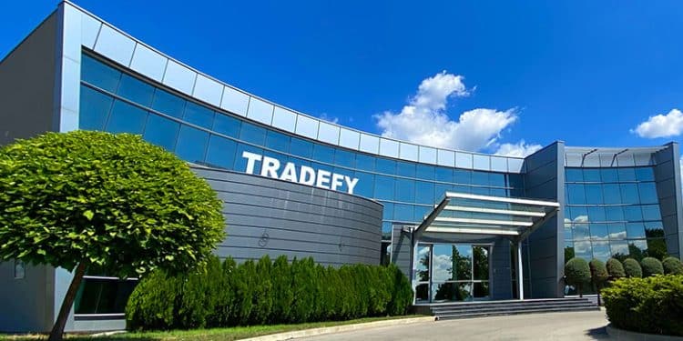 tradefy bulbox ditech 1