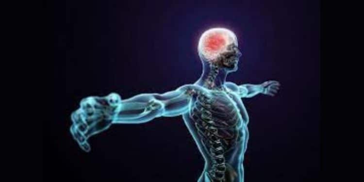 elektrichestvo zazdravyavane rani ditech.bg