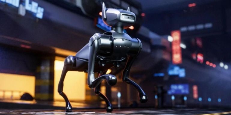 robot dog ditech.bg